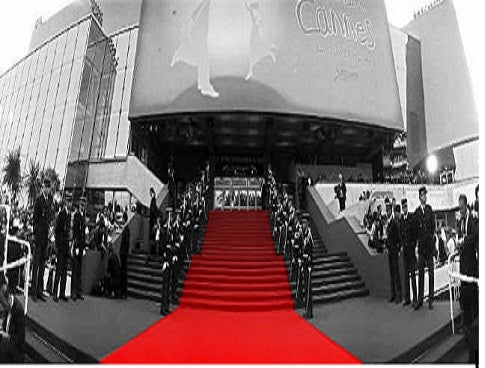 Top 5 Gorgeous Gowns Seen At Cannes Festival